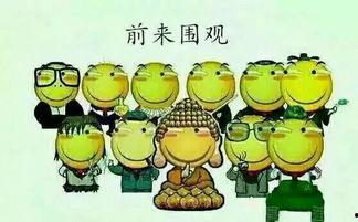 吃瓜群众 499,网络热议背后的真相与启示