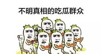 如此吃瓜群众,吃瓜群众视角下的娱乐圈风云录