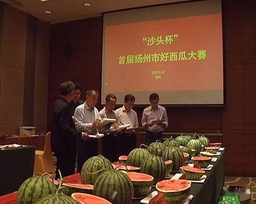 沙头的吃瓜群众,揭秘幕后真相