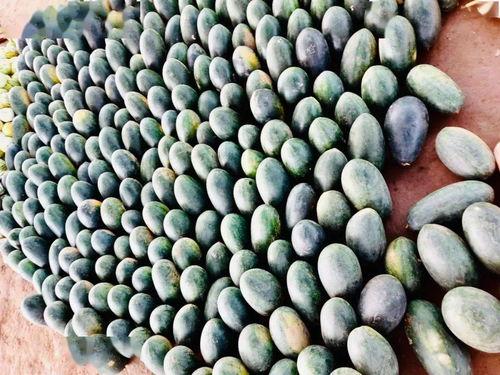 大田吃瓜,揭秘乡村生活的甜蜜与苦涩