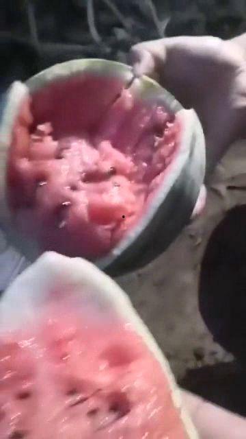 药流后可以吃沙白瓜吗,沙白瓜的温和滋养之道