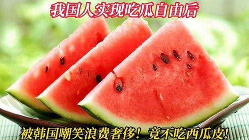 全国吃瓜自由,揭秘瓜界风云录